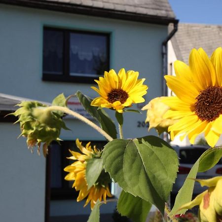 Ferienwohnung Lippmann Grosshartmannsdorf ภายนอก รูปภาพ