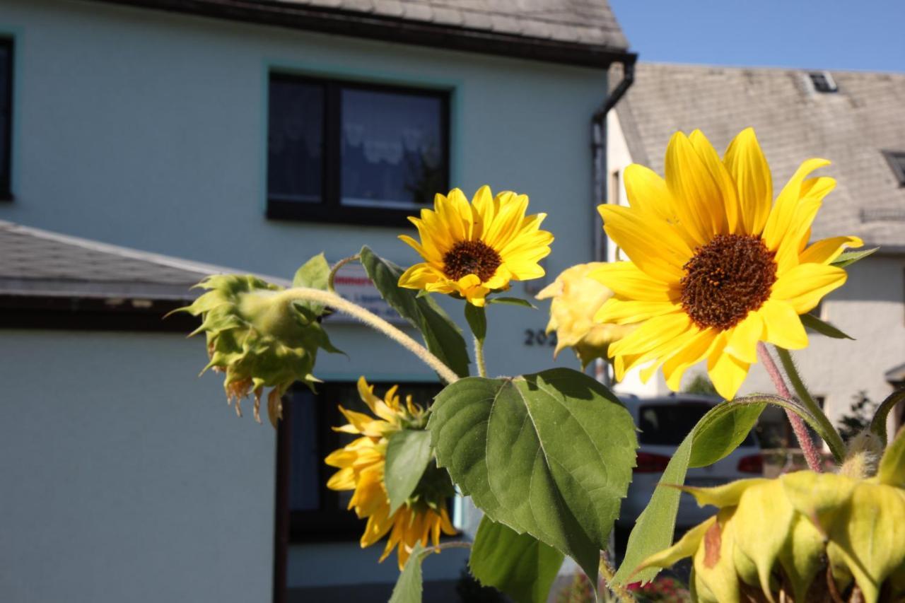 Ferienwohnung Lippmann Grosshartmannsdorf ภายนอก รูปภาพ